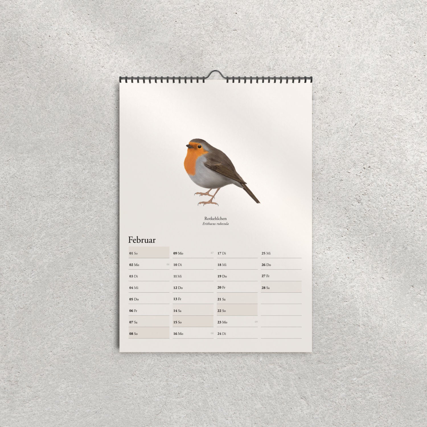Rotkehlchen Illustration im Kalender 2026 – Erithacus rubecula