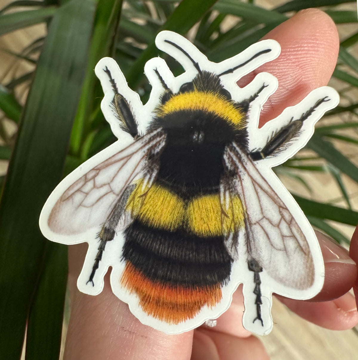 Hummel Vinyl Sticker Set – Naturmotive als Aufkleber für Laptop, Handy & mehr